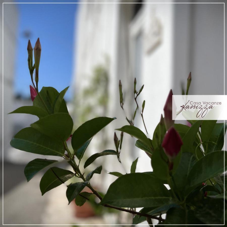 Rebecca E Sofia Stone House Affittacamere Alberobello Eksteriør bilde